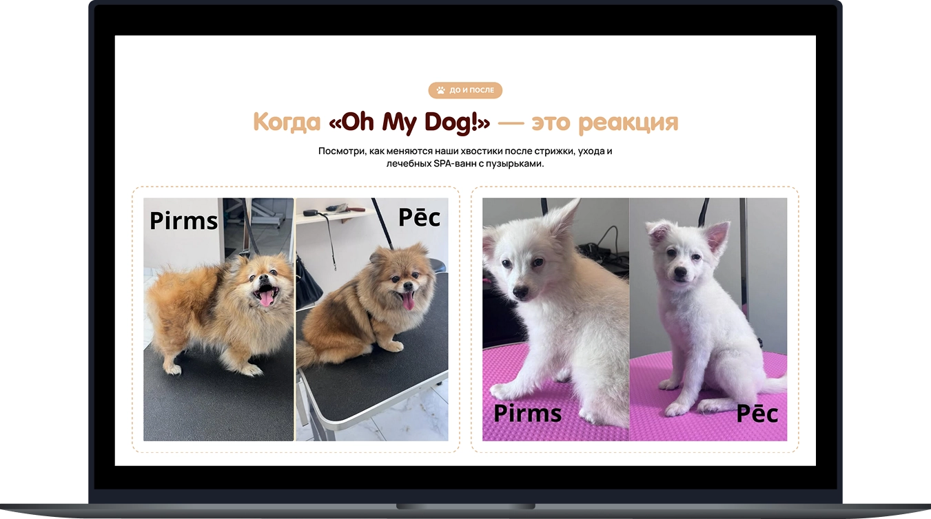 Oh-my-dog-cases-bwagency (5)