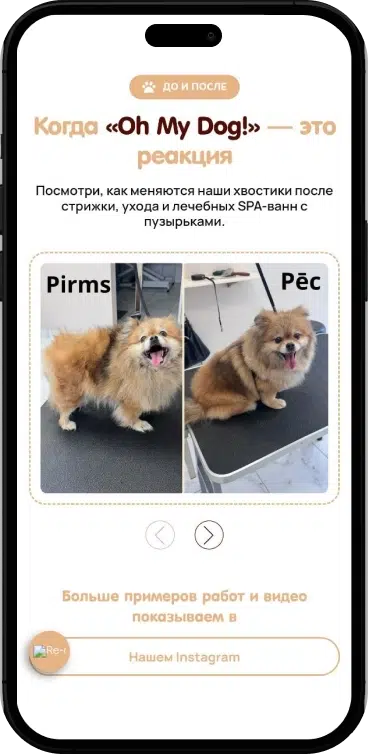 Oh-my-dog-cases-bwagency (8)